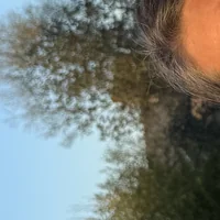 Photo de Olivia Perche