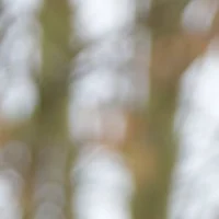 Photo de Hervé Heidinger