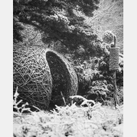 Photo de Claude Méténier